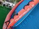 2021-22 ������å��� �ե꡼������ ������ AIRUSH V2 FreeWing AIR 7.0m2�����/UWING-145��