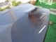 2013 ƥǥ TSD SUPܡ7'0"x29x100L/USUP-239