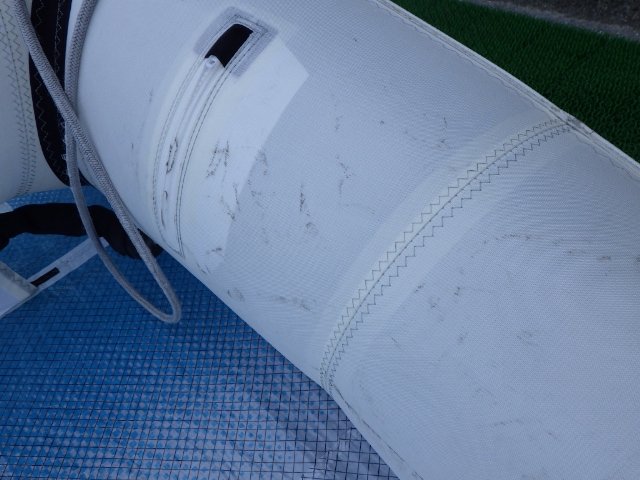 2024-25 ������å��� �ե꡼������ ������������ AIRUSH FreeWing AIRTEAM ULTRA X 6.0m2 (���/UWING-136)