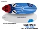 2025 ܡ  STARBOARD CARVE WOODSAND/ STARLITE (new/̵)