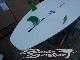 2018 �������ܡ��� �ʥå� �������饤�� STARBOARD NUT STARLITE   8'5"x29"(���/USUP-166)