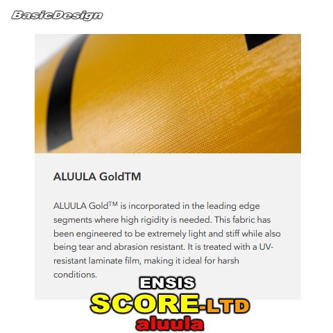 2024-25 ���󥷥� ������3 ���롼�� LTD ������ ENSIS SCORE3 LE WING (new/����̵��)