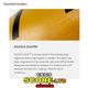 2024-25 ���󥷥� ������3 ���롼�� LTD ������ ENSIS SCORE3 LE WING (new/����̵��)