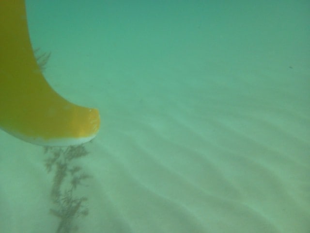 2023 �����С��ɥ饤�� OVERBOARD�����������ץ롼�ա��顼�����ޡ��ȥե��󥱡���(new)