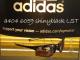 ǥ 쥤顼 adidas raylor a404L(new/̵)