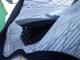 2017 �ʥå��奻���� �������� NAISHSAIL SL 3���� ��new/����̵����