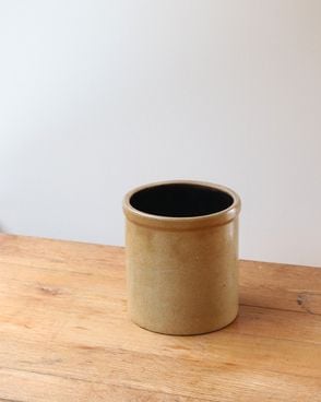 Old Crock OC-001��ƫ�參�ȥ�꡼Ω�� OC-001