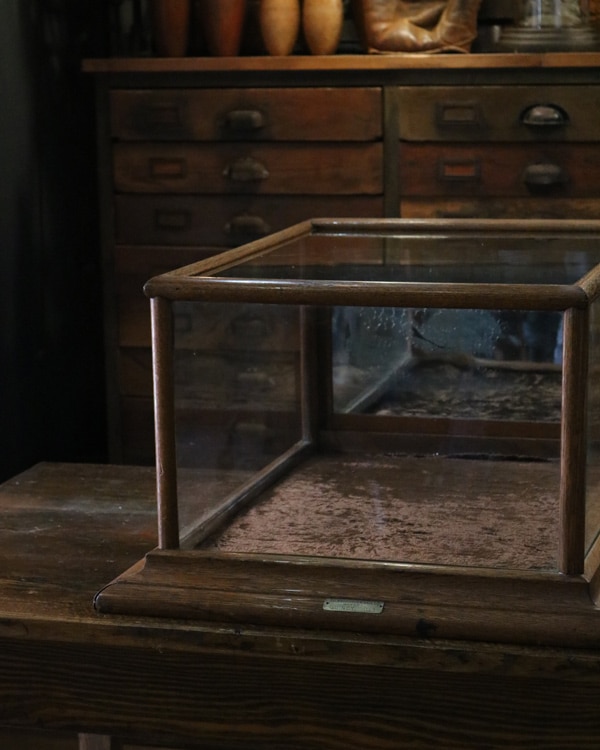 "JOS.KNITTEL SHOWCASE CO." Countertop Showcase｜"JOS.KNITTEL SHOWCASE CO." カウンタートップ ショーケース