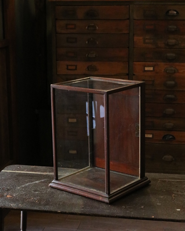 Small Glass Showcase｜ガラスのショーケース