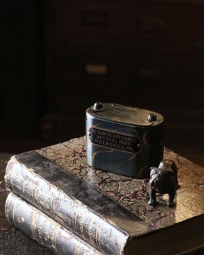 Coin Bank C�å���ѥ�ե��˥å���Υ�����Х� C