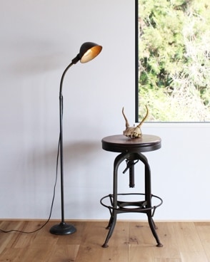 Gooseneck Floor Lampåͥåե