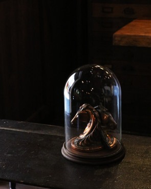 Oval Glass Dome｜オーバルガラスドーム