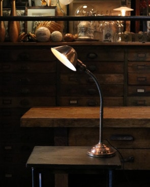 "FARIES" Gooseneck Desk LampFARIESҥͥå ǥ