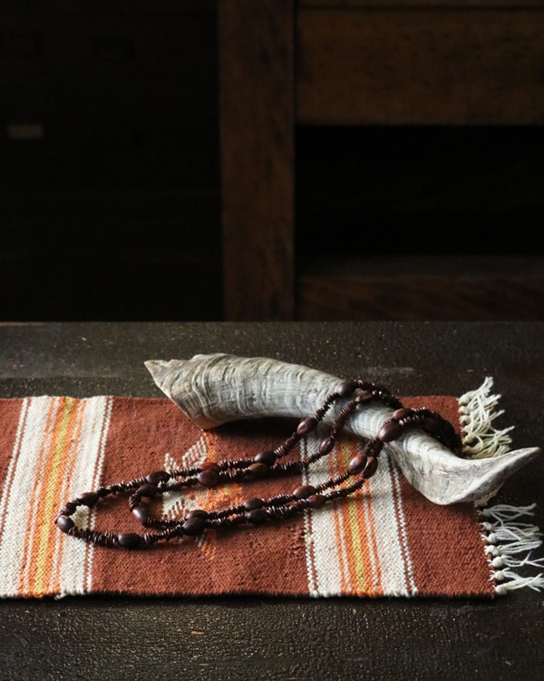 Vintage Apple Seed  Necklace｜ビンテージアップルシードネックレス