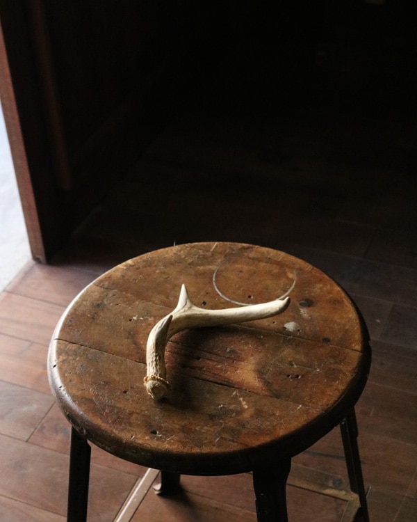 Deer Antler S-No.04｜鹿の角 S-No.04