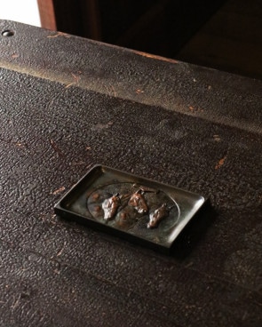 Horse Tray�åۡ����ȥ졼