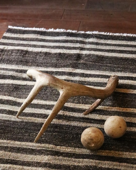 Deer Antler L-No.01｜鹿の角 L-No.01