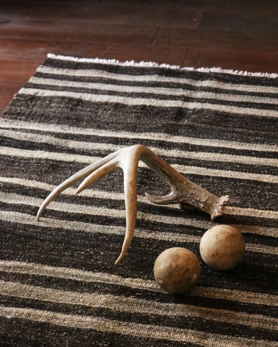 Deer Antler L-No.02｜鹿の角 L-No.02