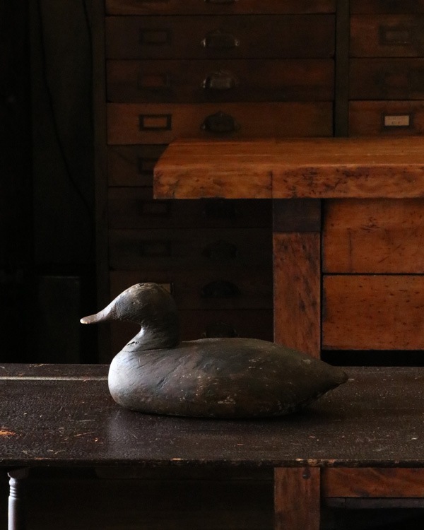 Unpainted Decoy A｜アンペインテッドデコイ A