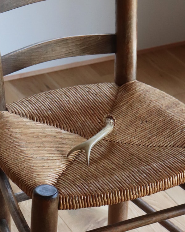 Deer Antler  L-No.16｜鹿の角 L-No.16