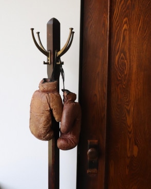 Boxing Glovesåܥ󥰥