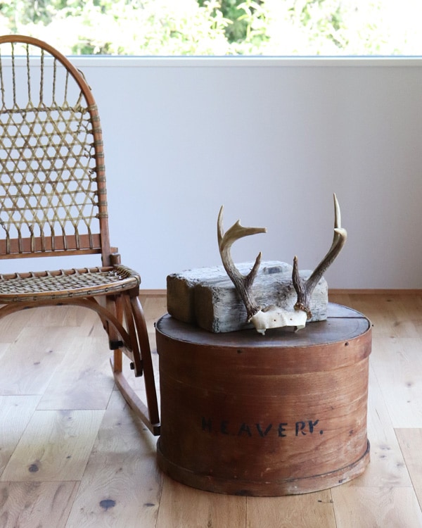 Deer Antler H-No.02｜鹿の角 H-No.02