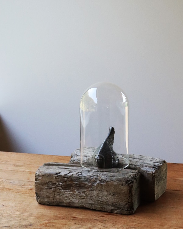 Oval Glass Dome｜オーバルガラスドーム