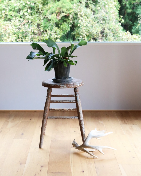 Early Painted Round Stool |アーリーペインテッドラウンドスツール
