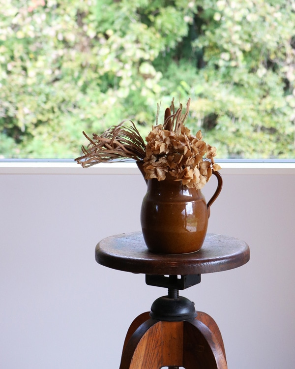 Brown Pitcher|ブラウンピッチャー