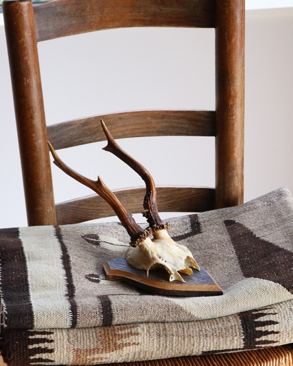 Deer Skull w/base｜鹿の頭骨 ベース付き