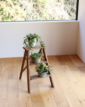 Step Ladder Small�å��ƥåץ���� ���⡼��