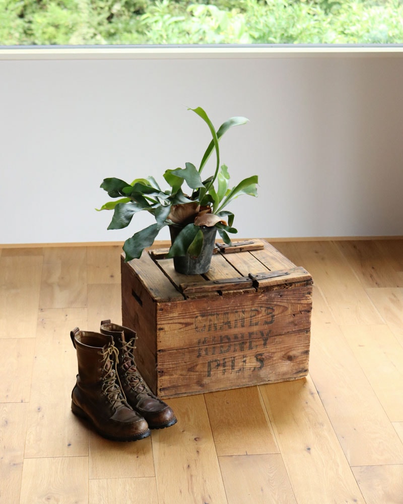 c.1920s “CRANE’S KIDNEY PILLS” Wood Crate|1920年代頃 “CRANE’S KIDNEY PILLS” ウッドクレート