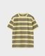 PHIGVEL �ե����٥��BORDER SS TOP �ܡ��������硼�ȥ��꡼�֥ȥåס�P.YELLOW x VIRIDIAN��