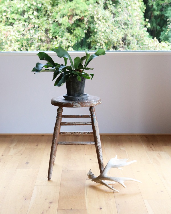 Early Painted Round Stool �å����꡼�ڥ���ƥåɥ饦��ɥ��ġ���