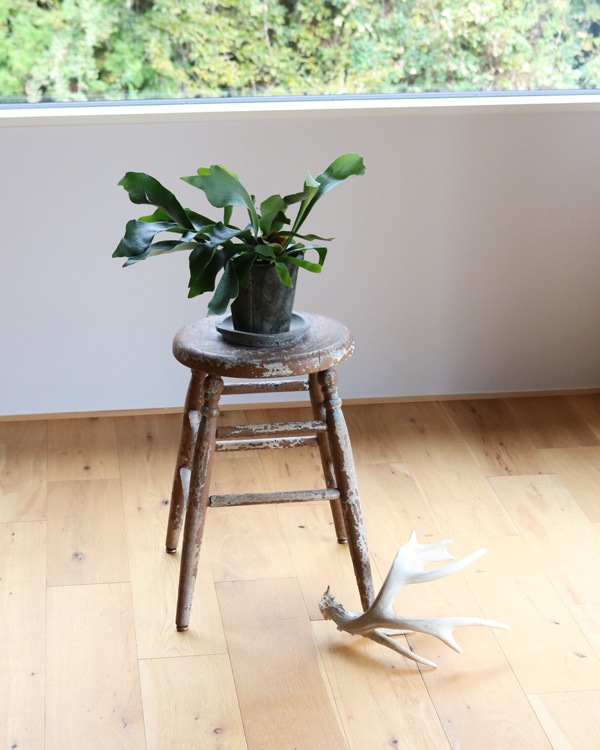 Early Painted Round Stool �å����꡼�ڥ���ƥåɥ饦��ɥ��ġ���