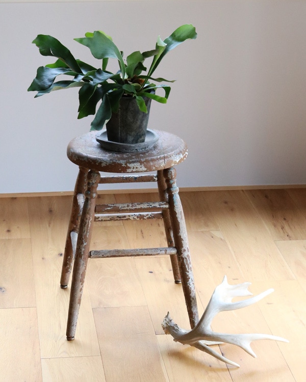 Early Painted Round Stool �å����꡼�ڥ���ƥåɥ饦��ɥ��ġ���