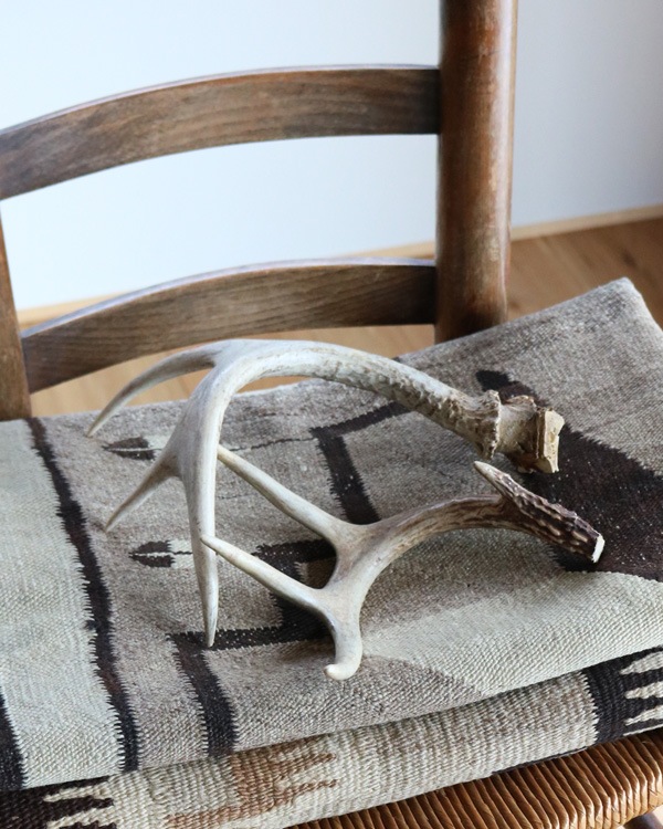 Deer Antler No.2�ü��γ� No.2