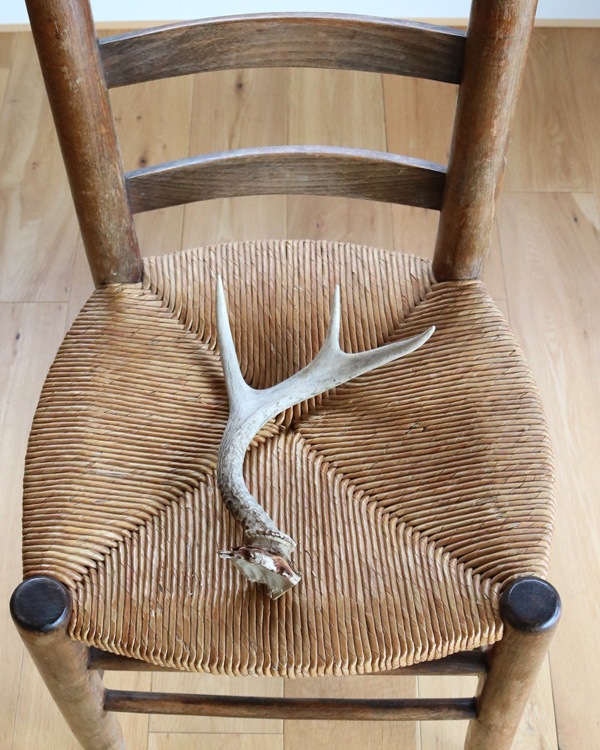 Deer Antler No.2�ü��γ� No.2
