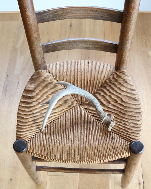 Deer Antler No.2�ü��γ� No.2