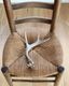 Deer Antler No.2�ü��γ� No.2