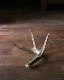 Deer Antler L-No.02üγ L-No.02