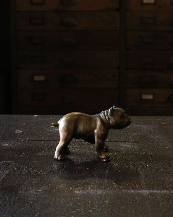 Bulldog Ornament D �å֥�ɥå������ʥ��� D