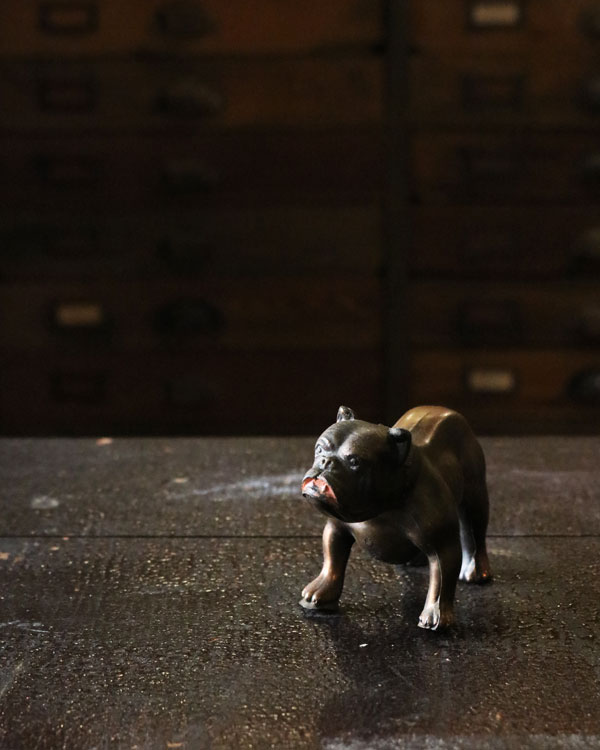 Bulldog Ornament D �å֥�ɥå������ʥ��� D