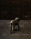 Bulldog Ornament D �å֥�ɥå������ʥ��� D