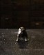 Bulldog Ornament D �å֥�ɥå������ʥ��� D