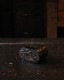 Coin Bank CB-04�å���ѥ�ե��˥å���Υ�����Х� CB-04
