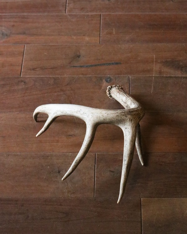 Deer Antler L-No.04�ü��γ� L-No.04