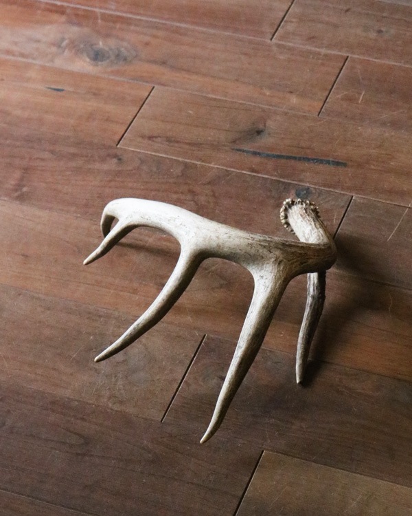 Deer Antler L-No.04�ü��γ� L-No.04