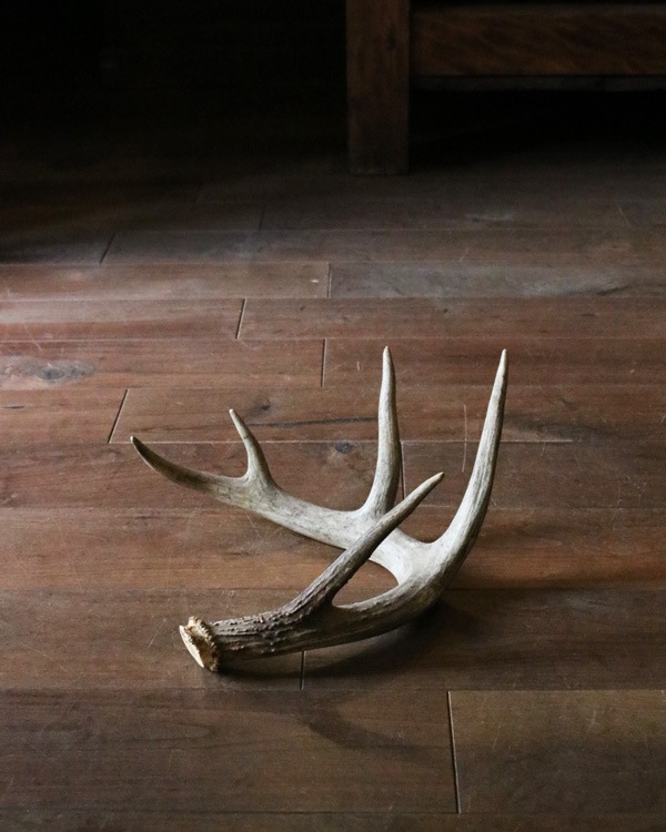Deer Antler L-No.04�ü��γ� L-No.04