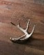 Deer Antler L-No.04�ü��γ� L-No.04